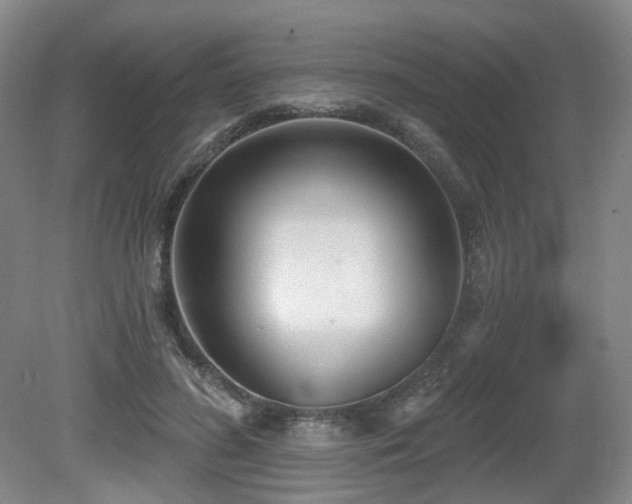 X0000080670596200612151159
