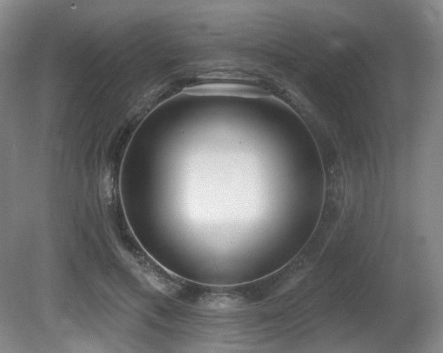 X0000080670597200612151159