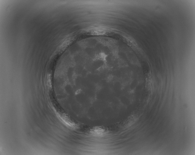 X0000080670598200612151159