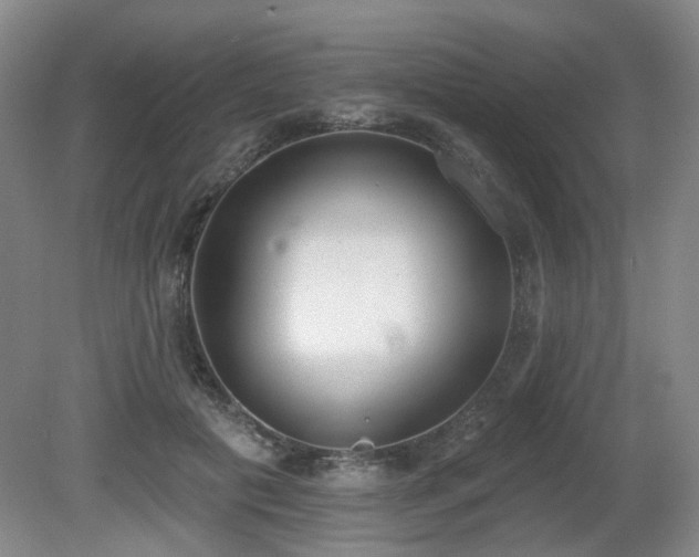X0000080670601200612151159