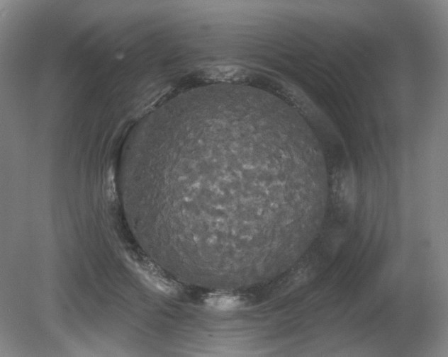 X0000080670602200612151159