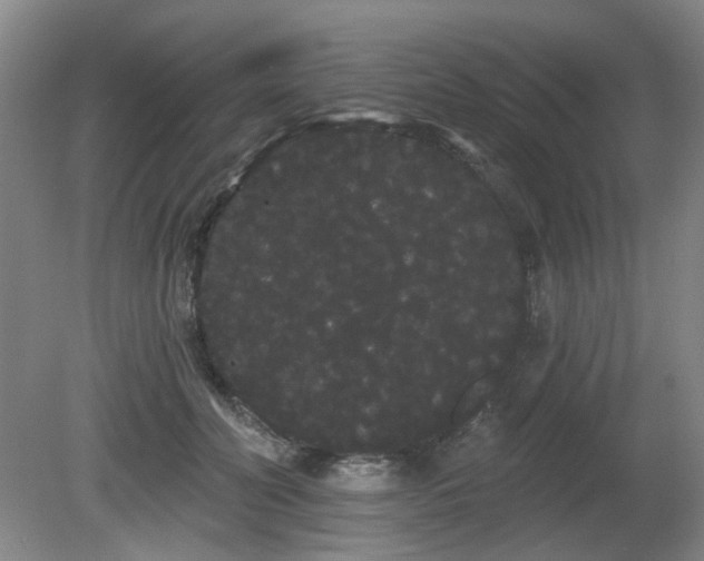 X0000080670606200612151159