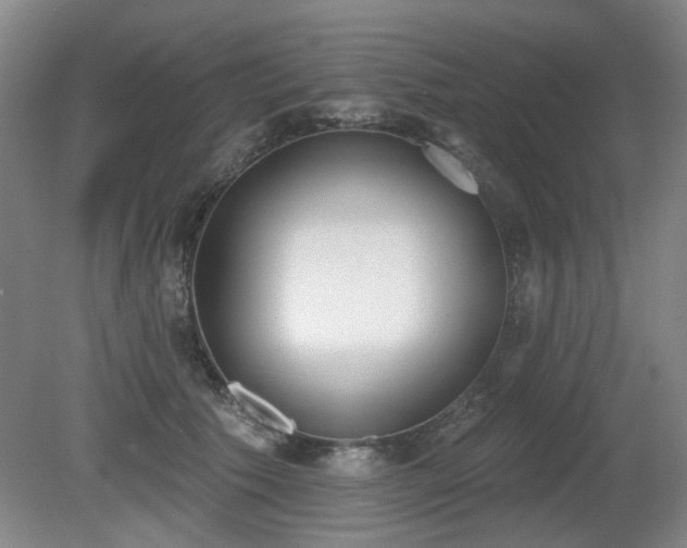 X0000080670609200612151159