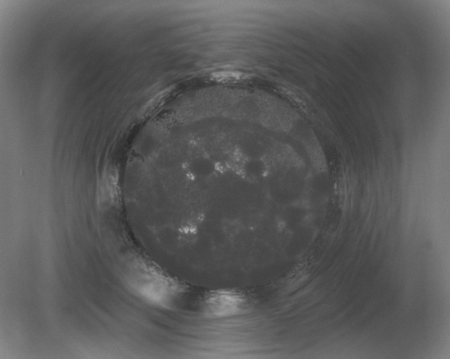 X0000080670610200612151158