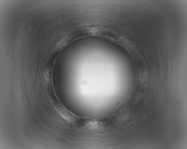 X0000080670611200612151158