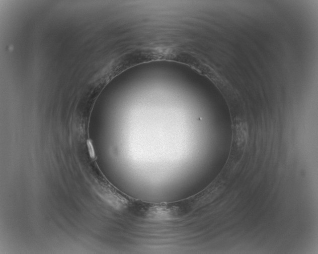 X0000080670613200612151158