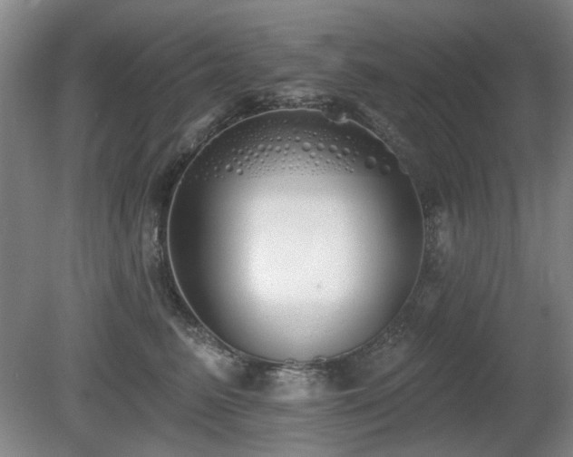X0000080670615200612151158