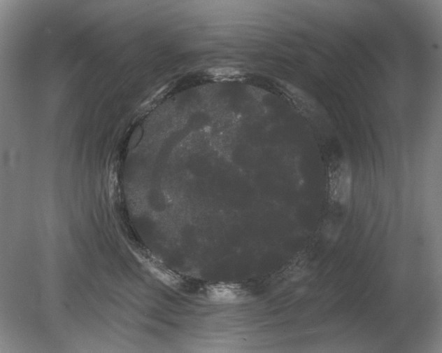X0000080670618200612151158