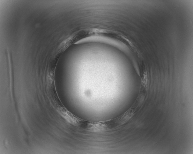 X0000080670621200612151158