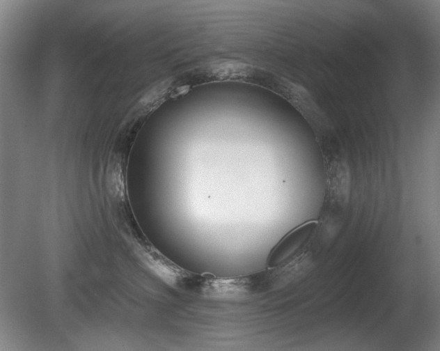 X0000080670622200612151158