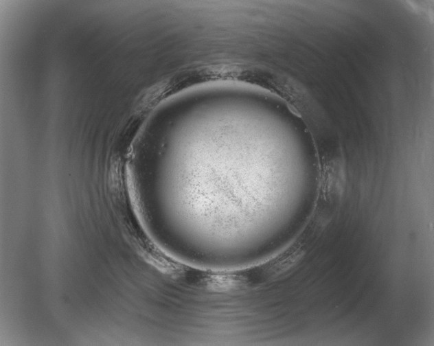 X0000080670623200612151158