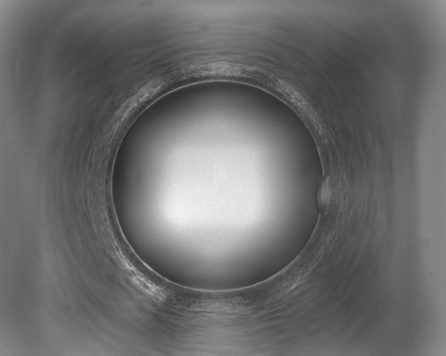 X0000080670625200612151157