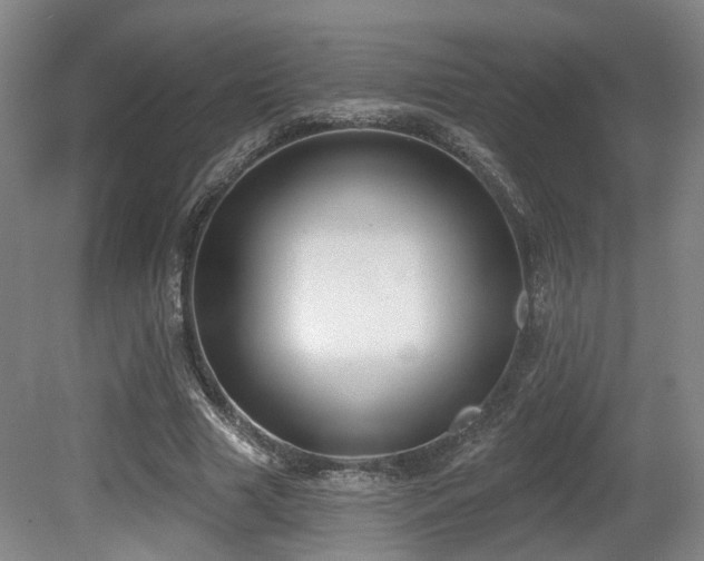 X0000080670633200612151158