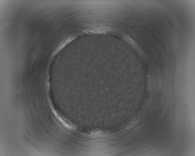 X0000080670634200612151158