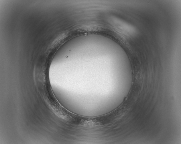 X0000080670635200612151158