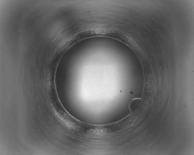 X0000080670639200612151158