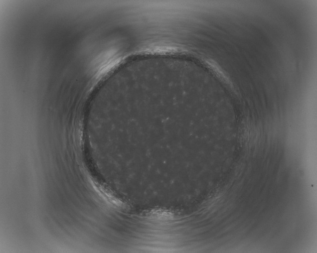 X0000080670640200612151158