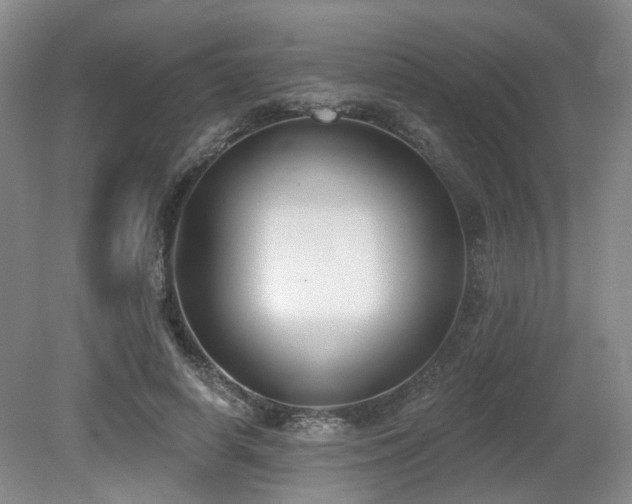 X0000080670642200612151158