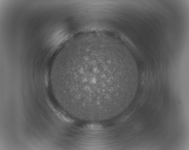X0000080670644200612151158