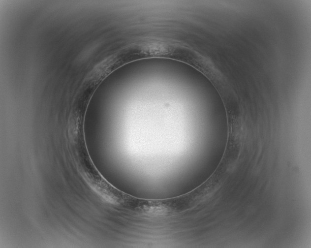 X0000080670645200612151158