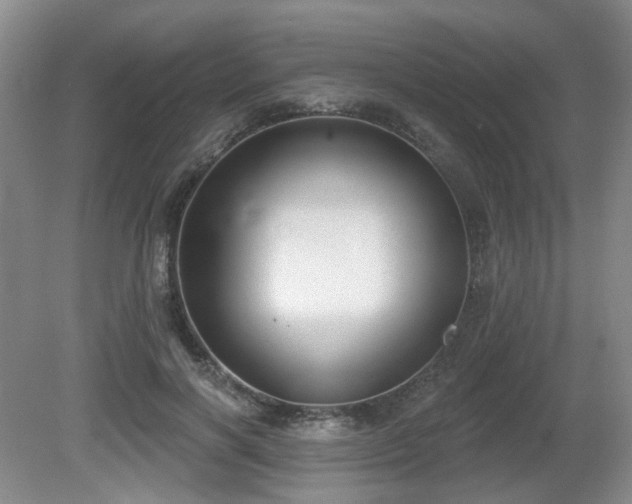 X0000080670646200612151158