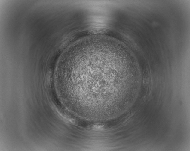 X0000080670647200612151158