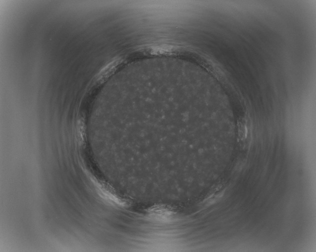 X0000080670648200612151158