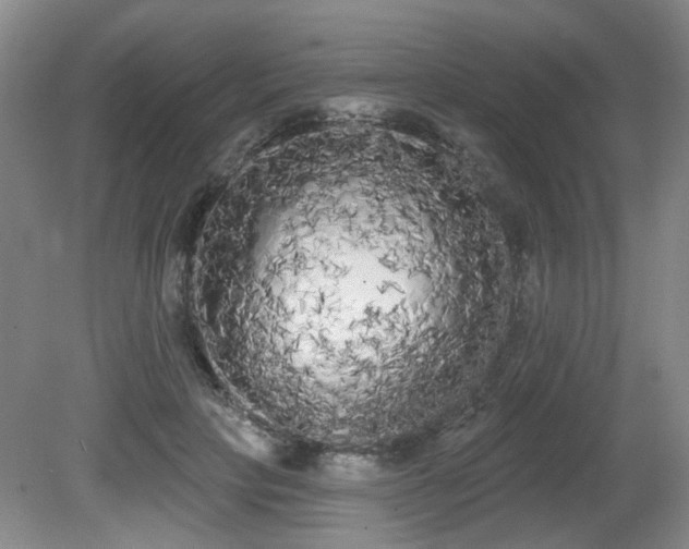 X0000080670649200612151158