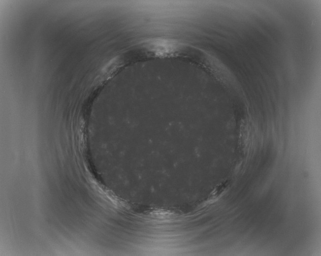 X0000080670650200612151158