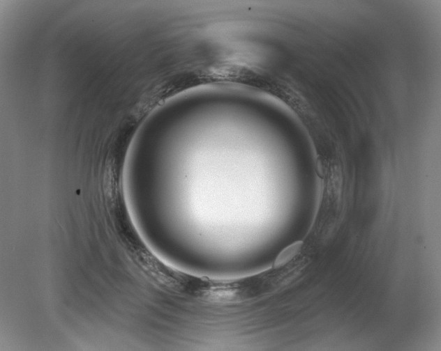 X0000080670651200612151158