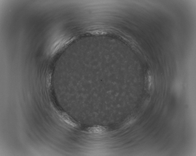 X0000080670652200612151158