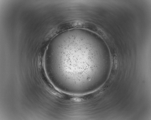 X0000080670654200612151158
