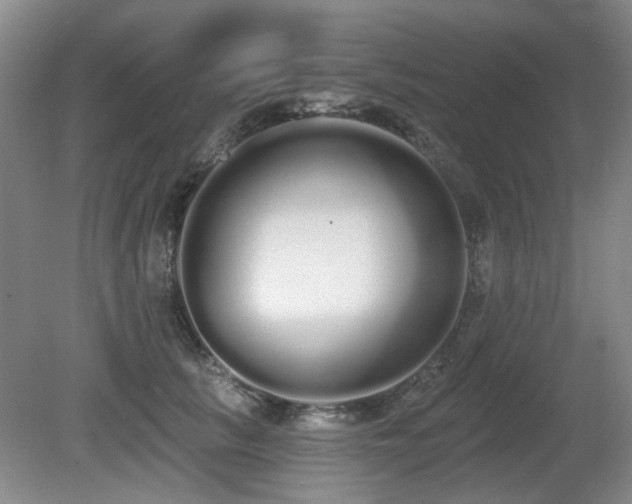 X0000080670657200612151158