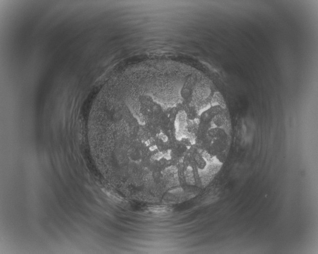 X0000080670659200612151158