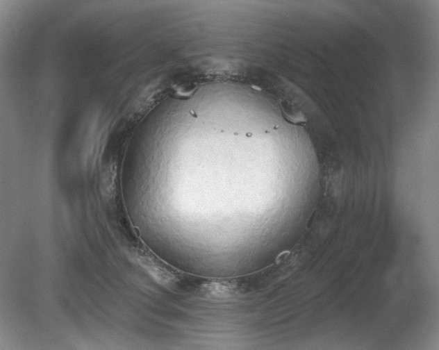 X0000080670660200612151158