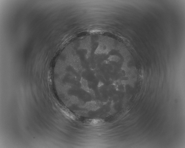X0000080670663200612151158
