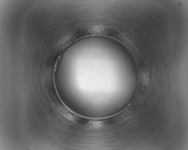 X0000080670665200612151158
