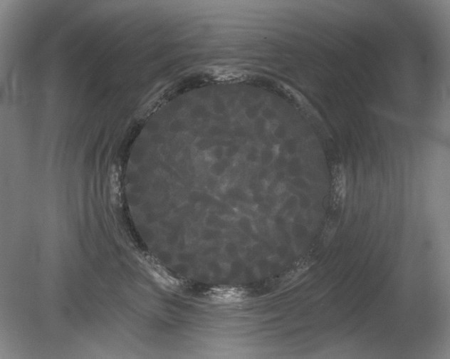 X0000080670667200612151158