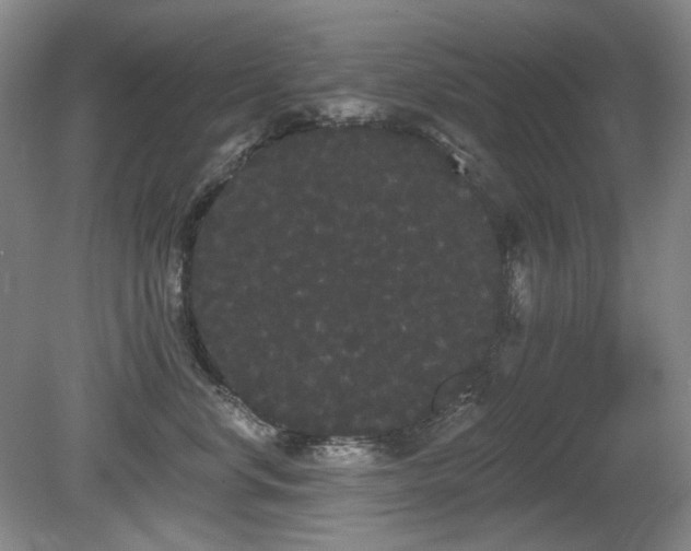 X0000080670668200612151158