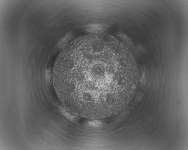 X0000080670669200612151158