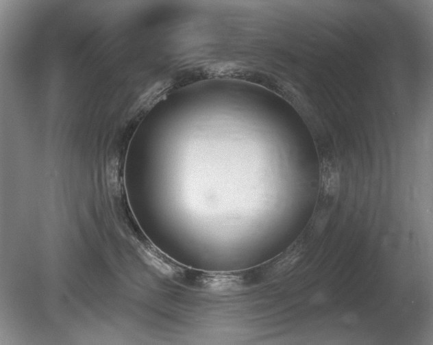 X0000080670670200612151158