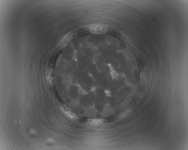X0000080670671200612151158