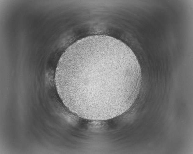 X0000080670672200612151158