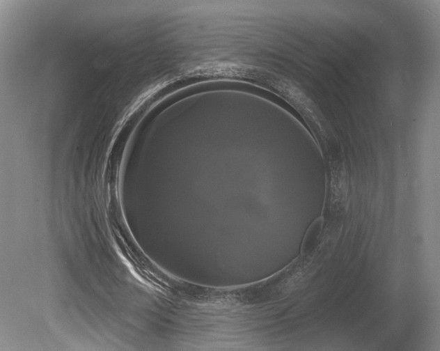X0000080670674200612151157
