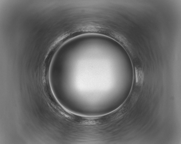 X0000080670675200612151157