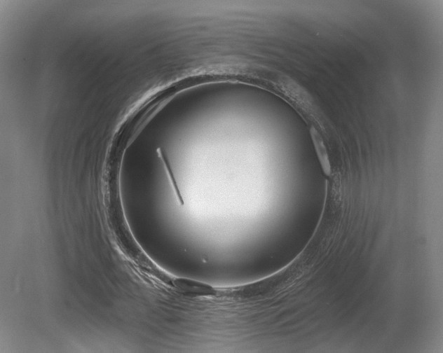 X0000080670676200612151157