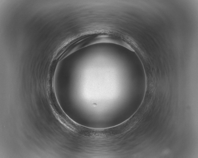 X0000080670677200612151157