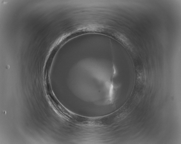 X0000080670678200612151157