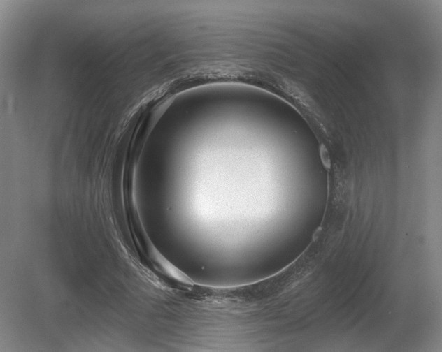 X0000080670681200612151157