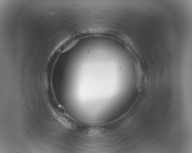 X0000080670684200612151157